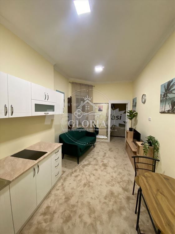 1,5-комнатная квартира, 23 м², Крунска, Врачар