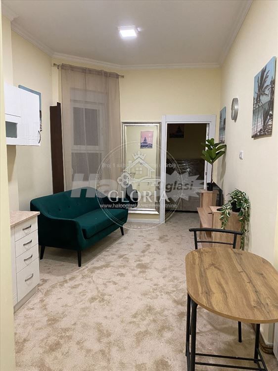 1,5-комнатная квартира, 23 м², Крунска, Врачар, фото 14
