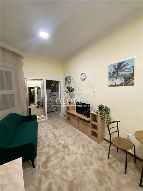 1,5-комнатная квартира, 23 м², Крунска, Врачар, фото 15