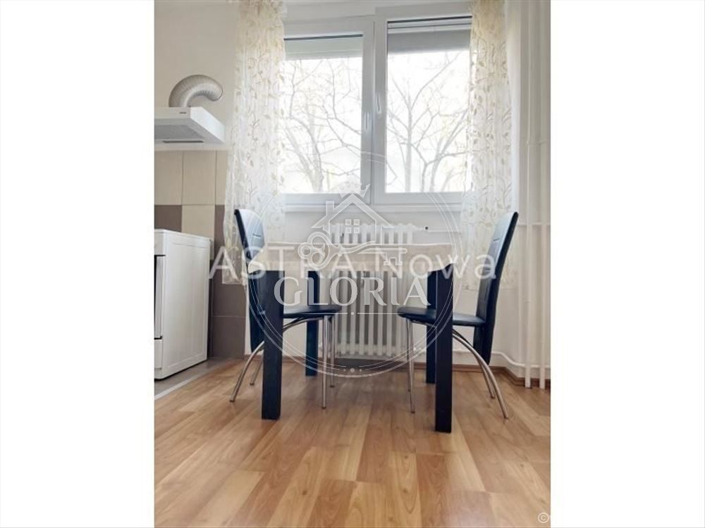1,5-комнатная квартира, 40 м², Фонтана, Новый Белград, фото 3