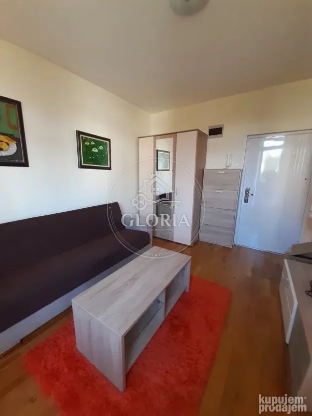 Студия, 21 м², Вождовац, фото 8