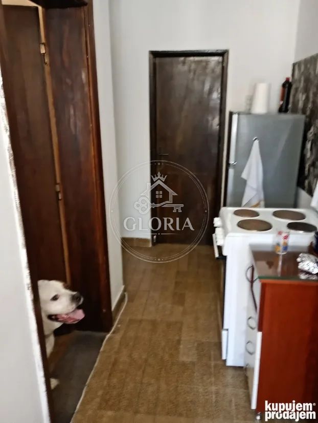 Дом, 42 м², Мали Мокри Луг, Звездара, фото 11