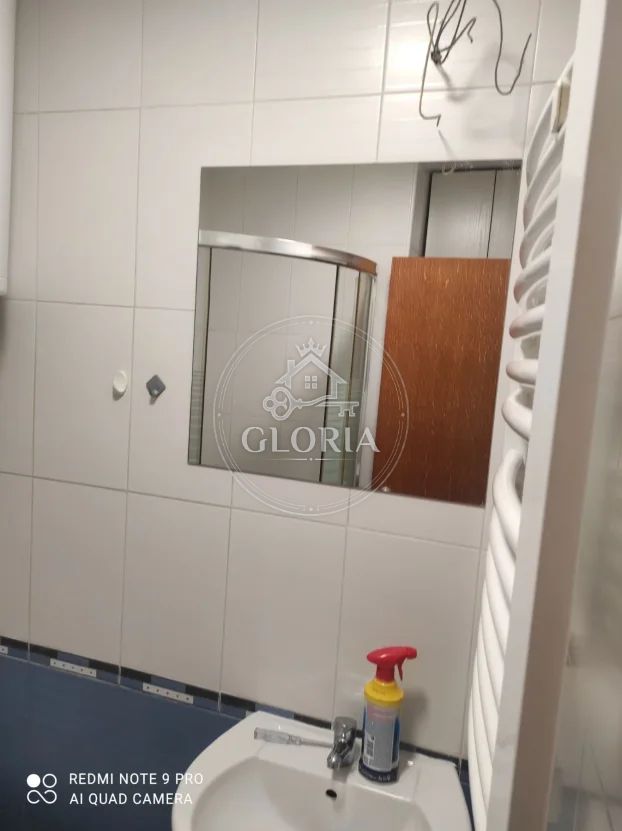1,5-комнатная квартира, 36 м², Врачар, фото 12