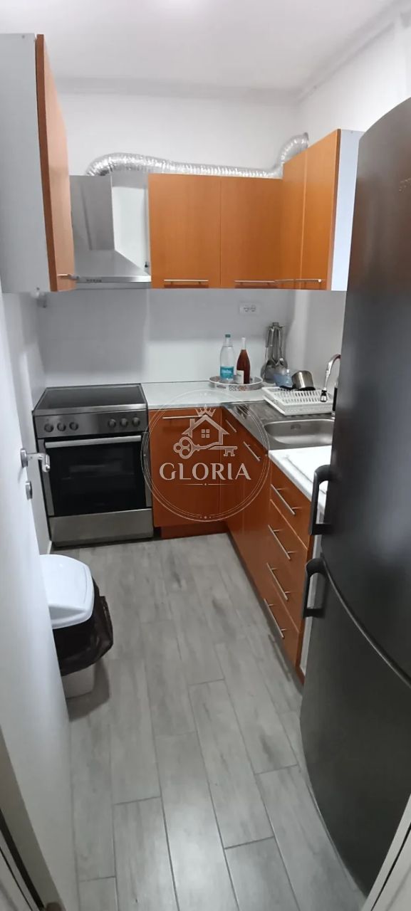 1,5-комнатная квартира, 43 м², Младеновац, фото 7