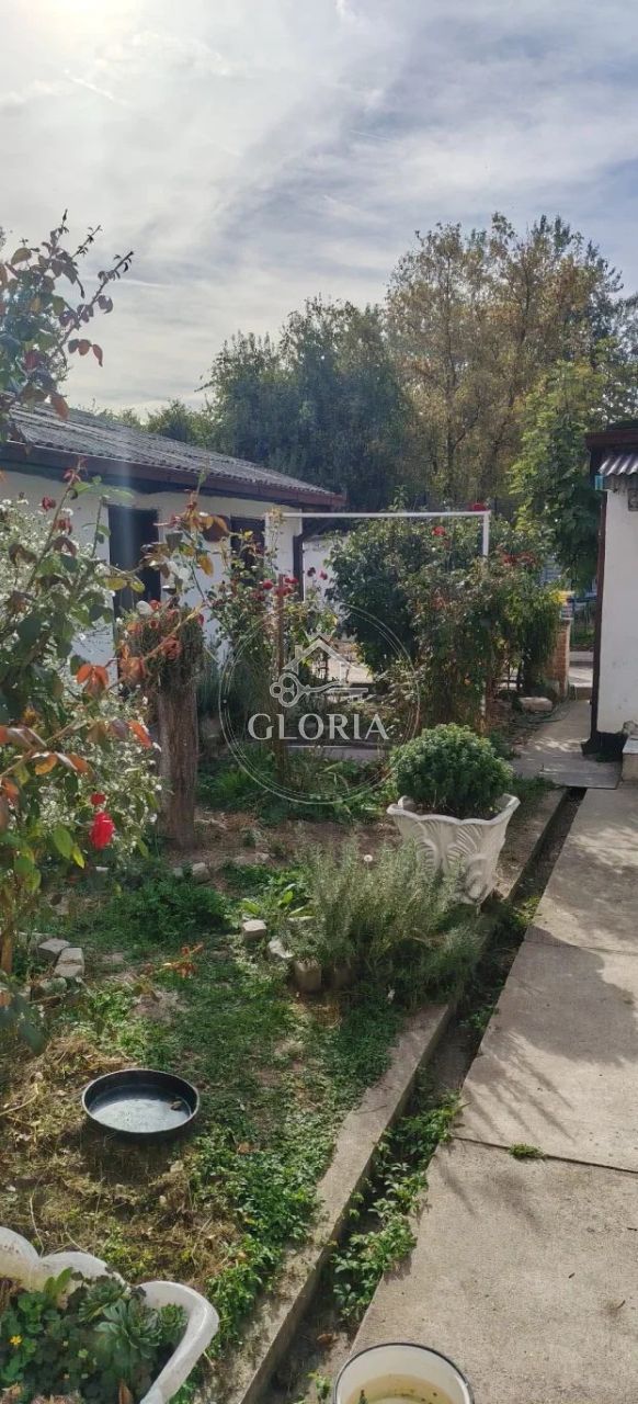 Дом, 400 м², Крняча, Палилула, фото 6